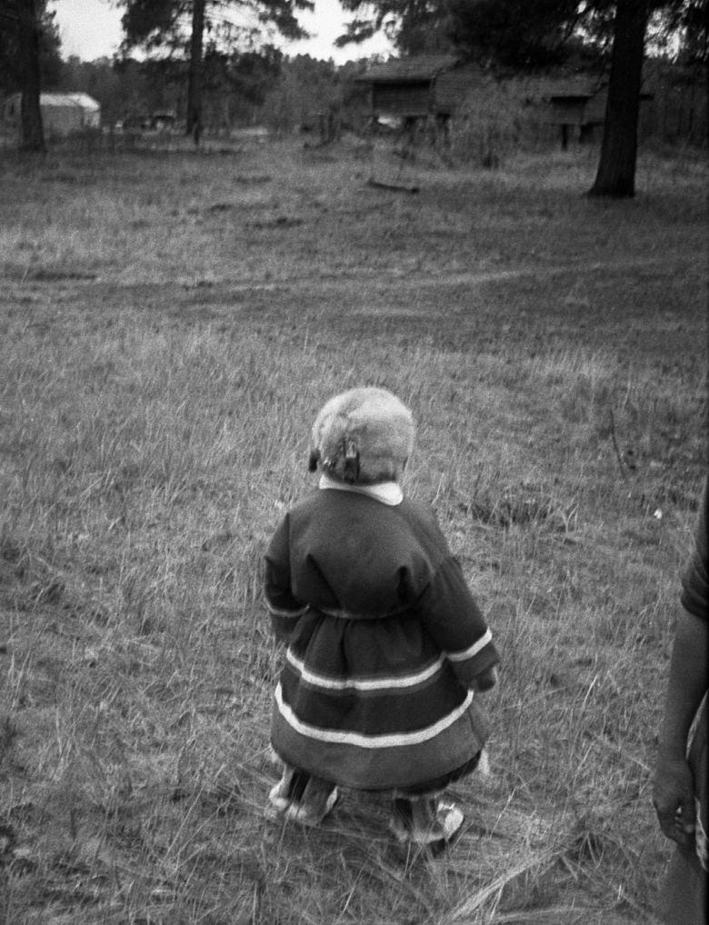 Hantide argipäev - Foto Maie Jõgi