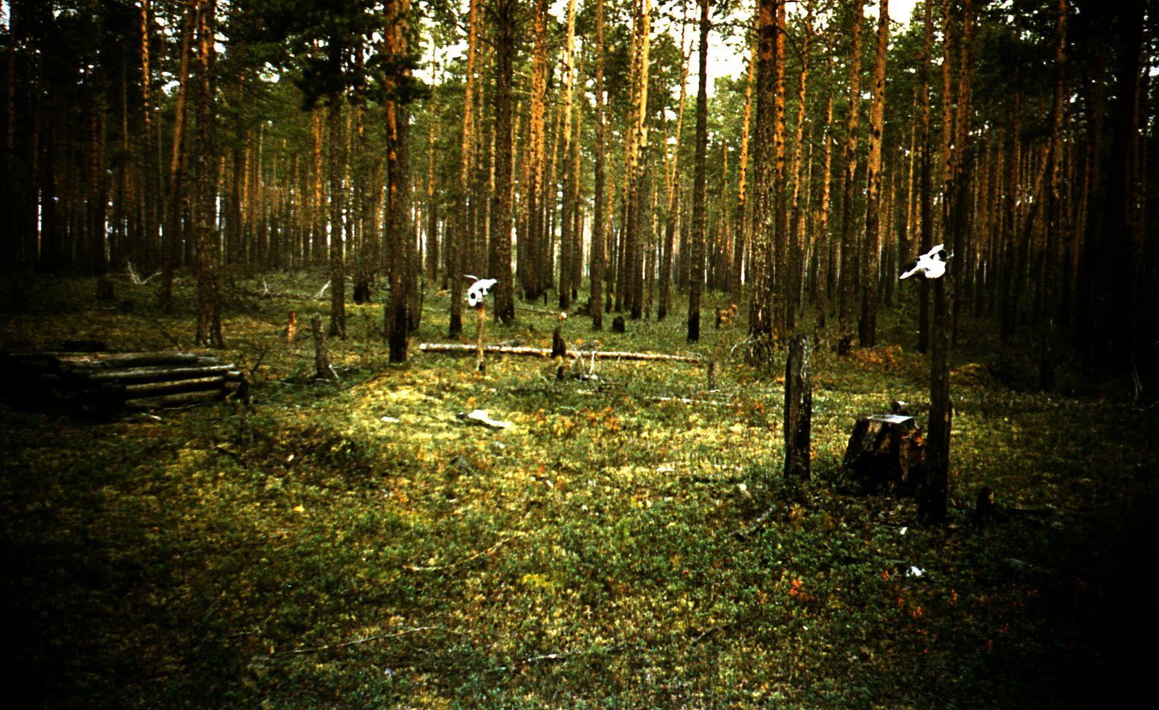 Filmivõtted Tõltšinite suveleeris (1985) - Foto Ago Ruus