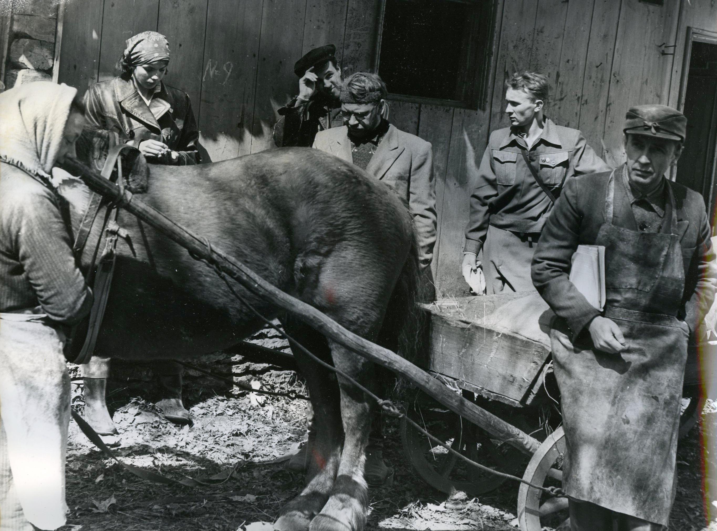 Reet Pärna osas Viire Valdma, esimehe osas Tõnu Kark, volinik Kukumere osas Arvo Kukumägi, Liina isa osas Aarne Üksküla - Foto Mikk Raude