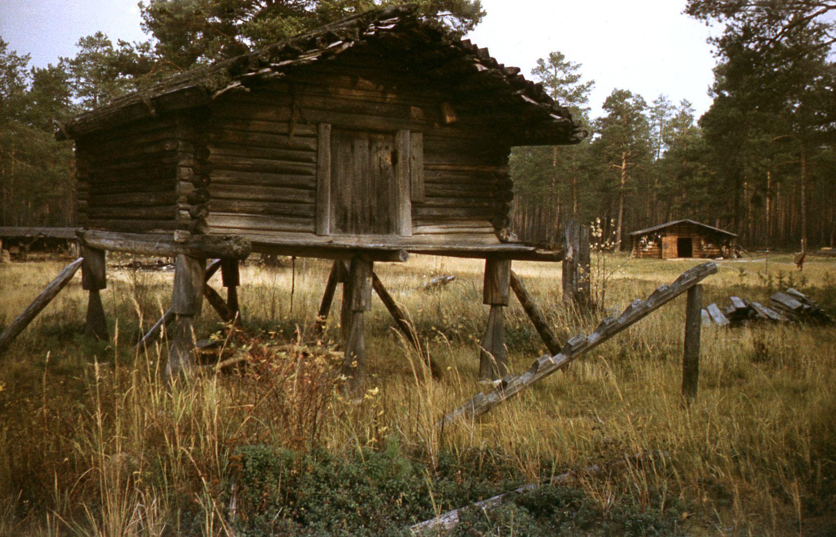 Filmivõtted Tõltšinite suveleeris (1985) - Foto Ago Ruus