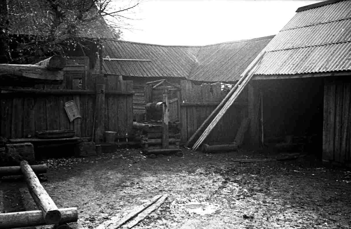 Filmivõtetel - Foto Arvi Kalk