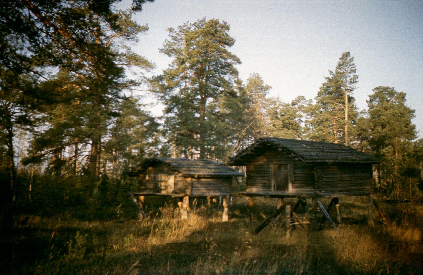 Filmivõtted Tõltšinite suveleeris (1985) - Foto Ago Ruus