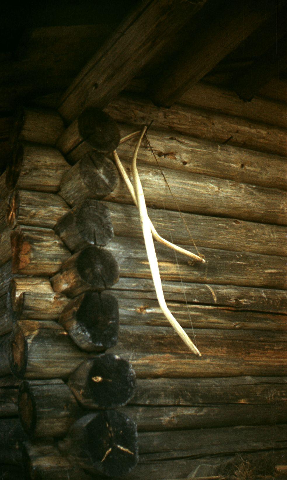 Filmivõtted Tõltšinite suveleeris (1985) - Foto Ago Ruus