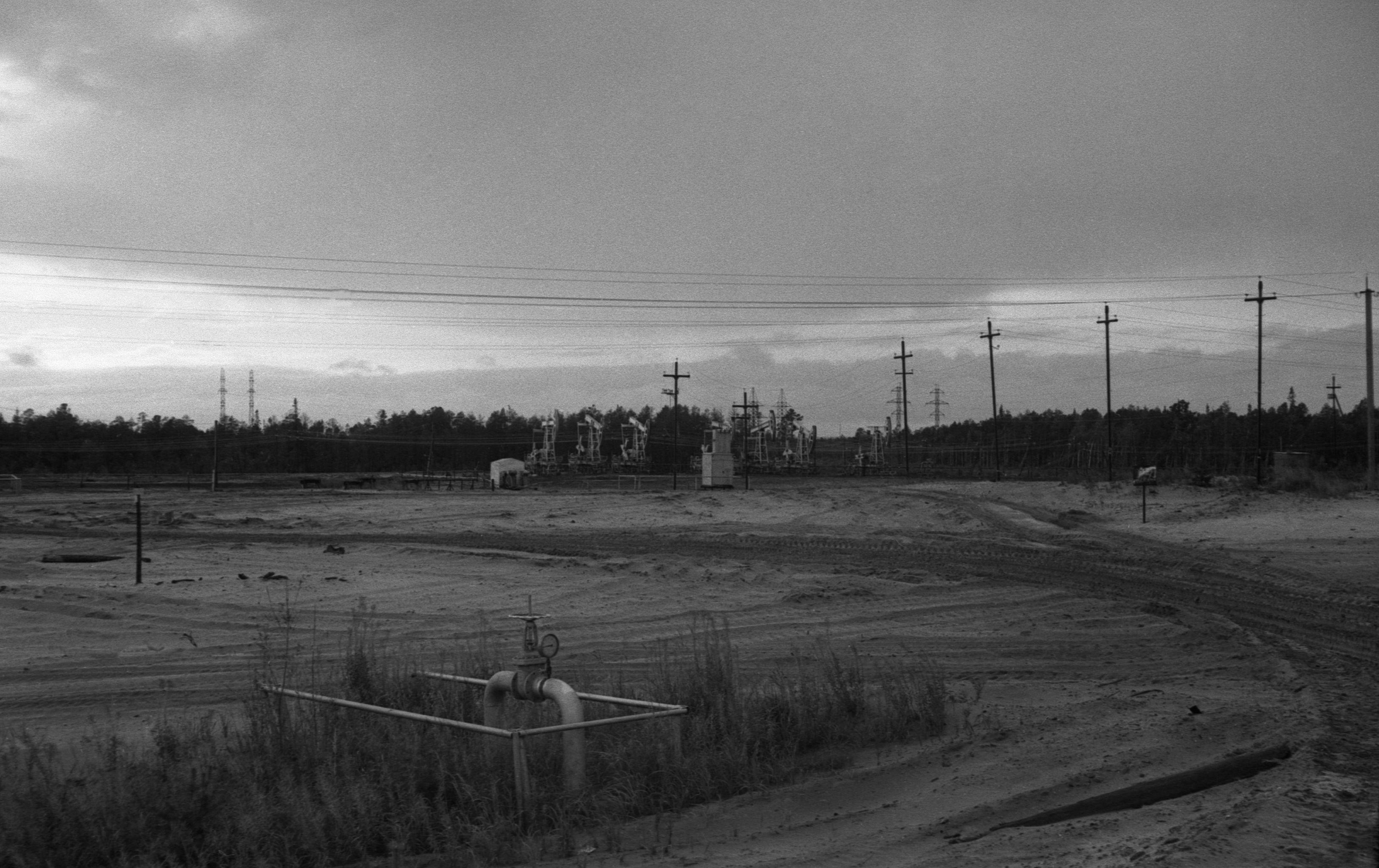 Filmigrupp teel (1988)