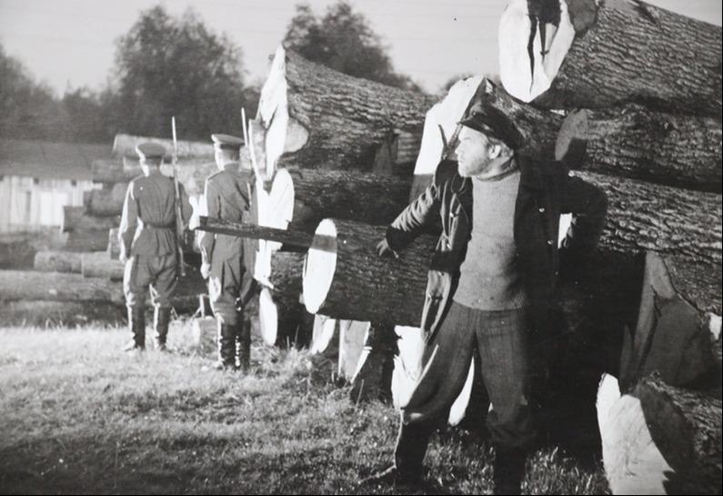 Kaarel Karm mängufilmis „Jahid merel“ (1955) - Perekond Järveti kogu