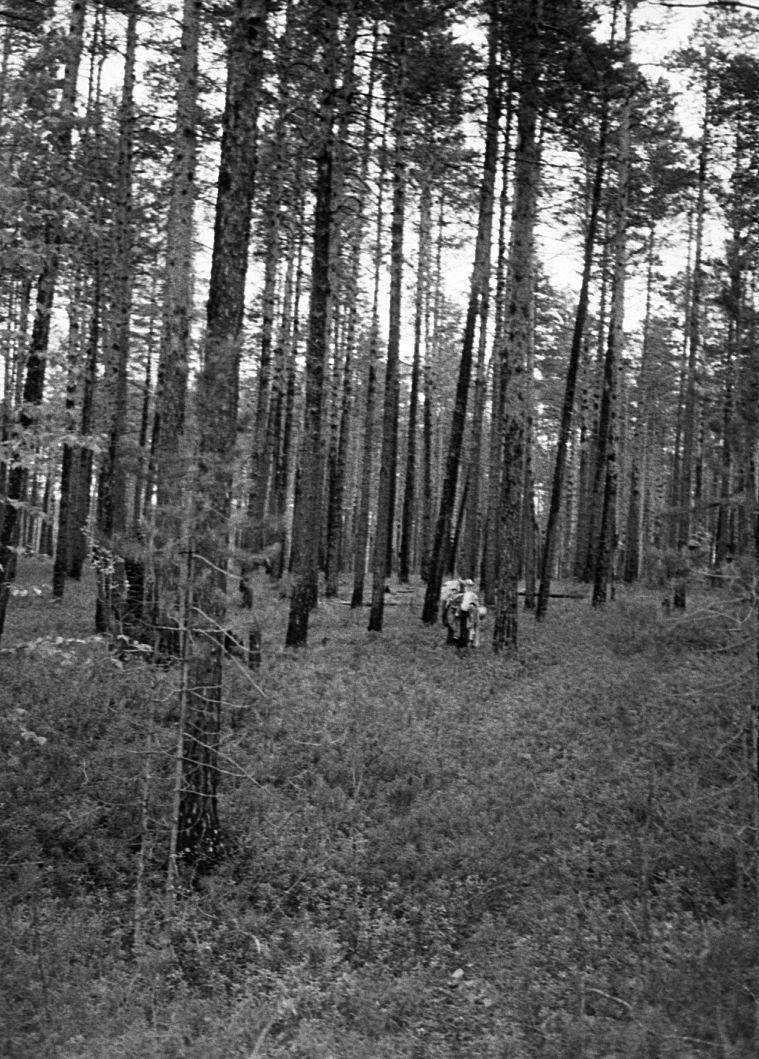 Võttepaigal - Foto Maie Jõgi