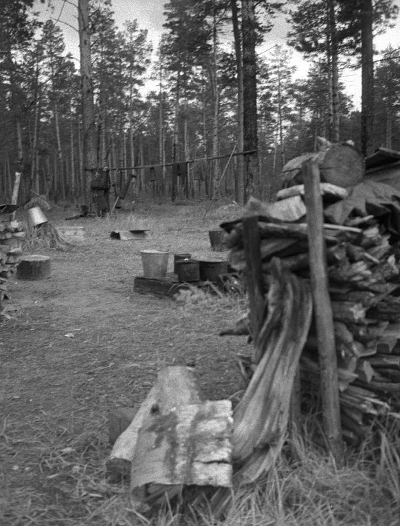 Võttepaigal - Foto Maie Jõgi