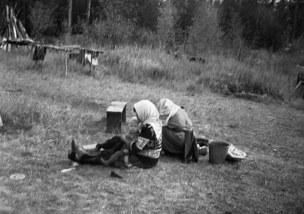 Hantide argipäev - Foto Maie Jõgi
