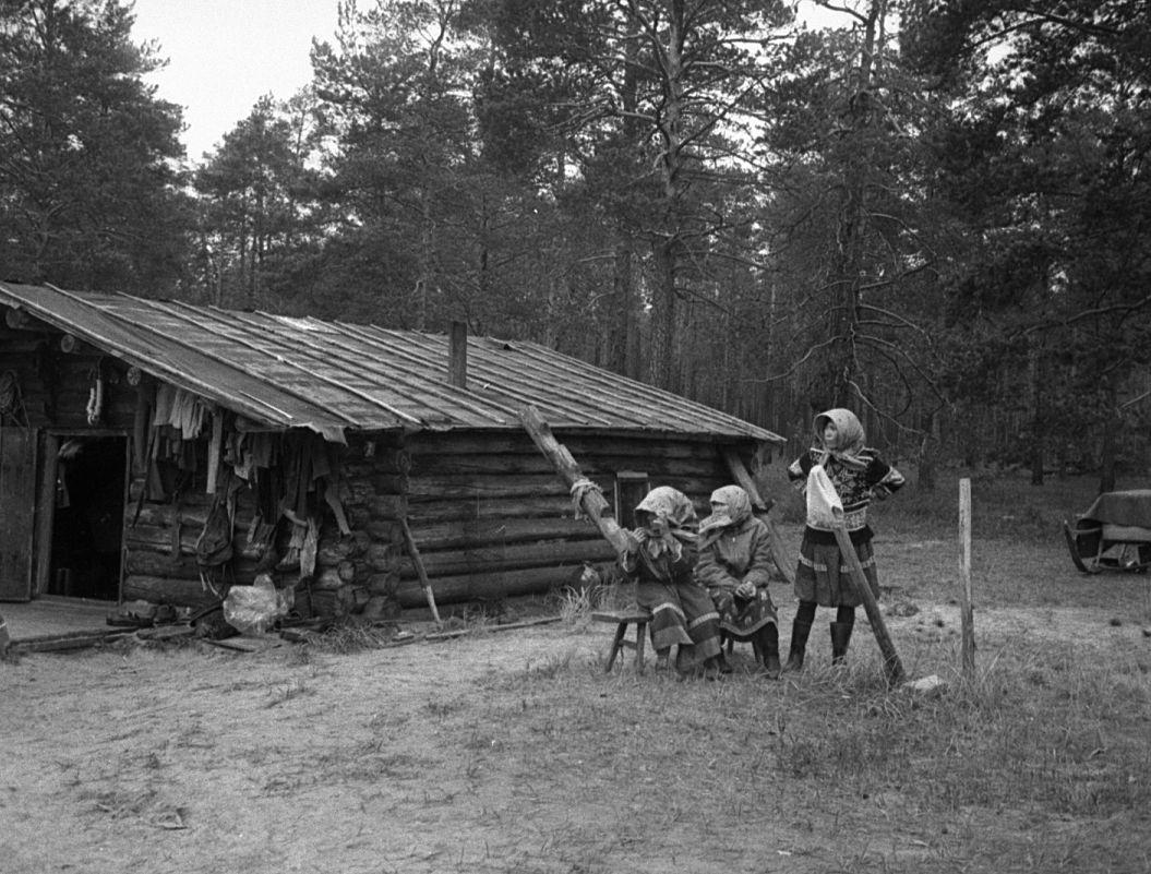 Hantide argipäev - Foto Maie Jõgi