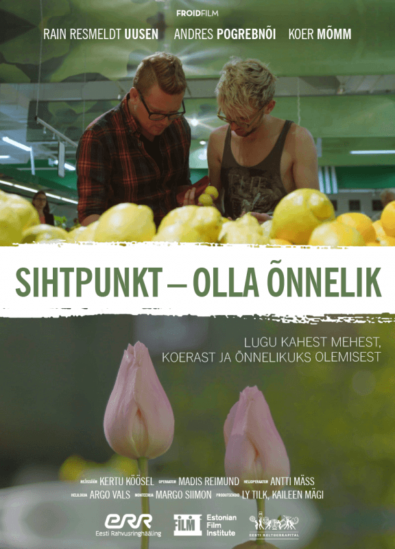 Sihtpunkt - olla õnnelik (2016) - Kujundus Aleksei Nugis (Plurium) - Froid