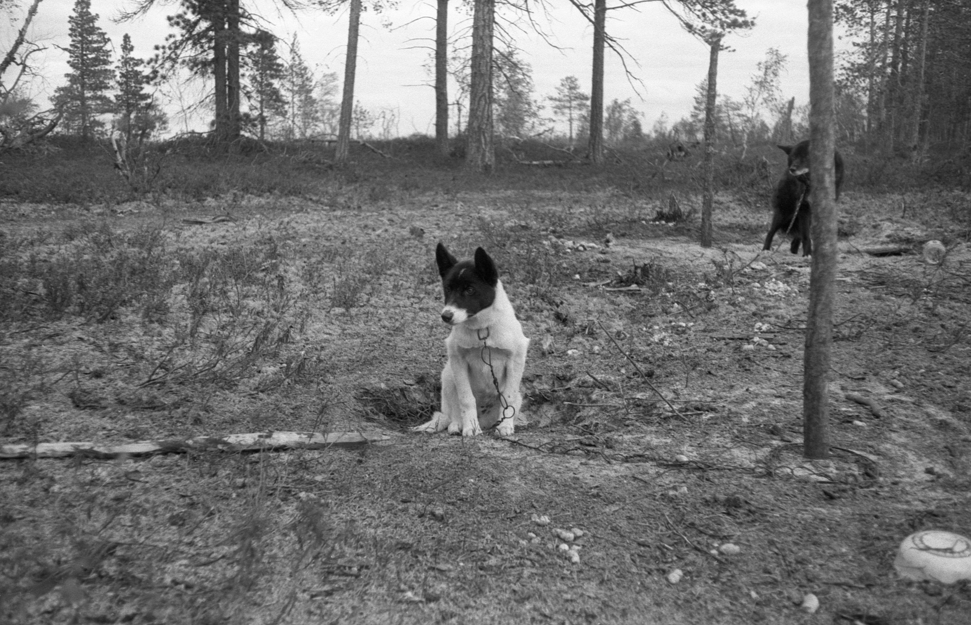 Helikopterisõit Sopotšiniga (1988)