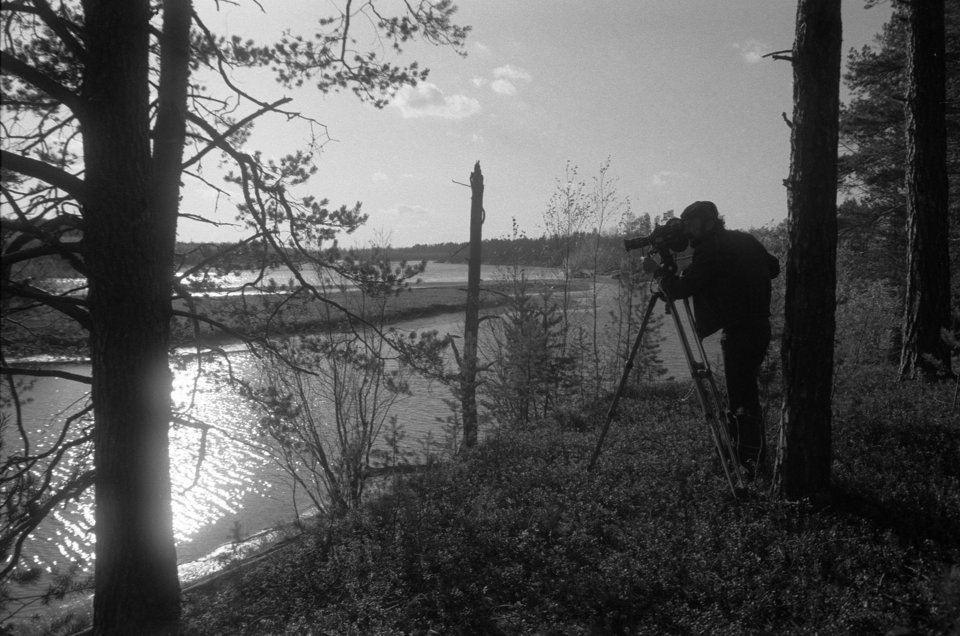 Suveleeris (1985) 