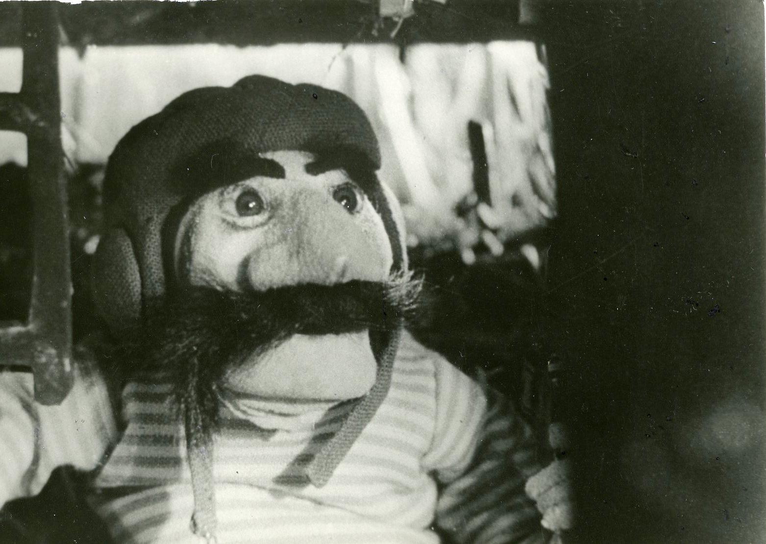 Foto Urmas Jõemees - Nukufilmi kogu