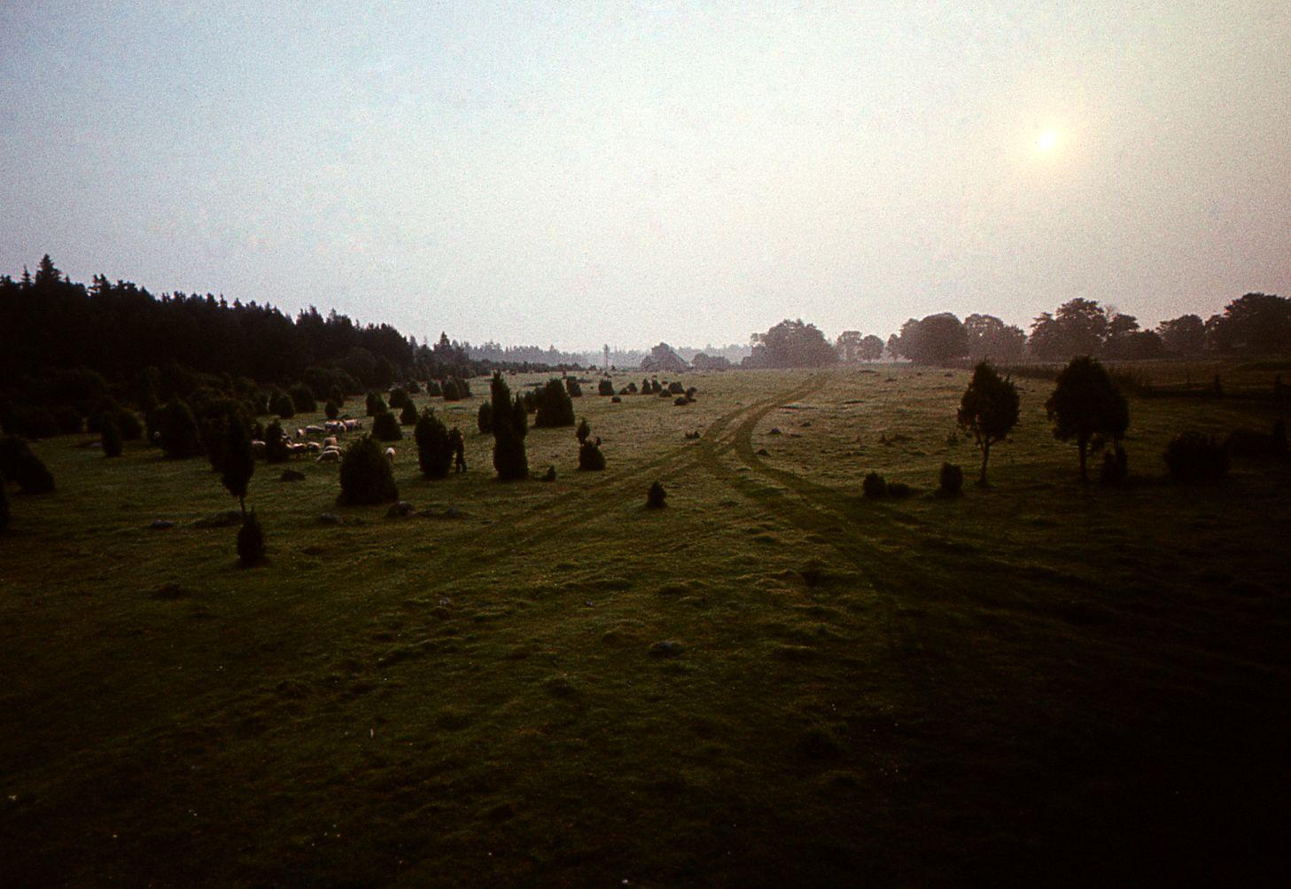 Kõpu, Hiiumaa.