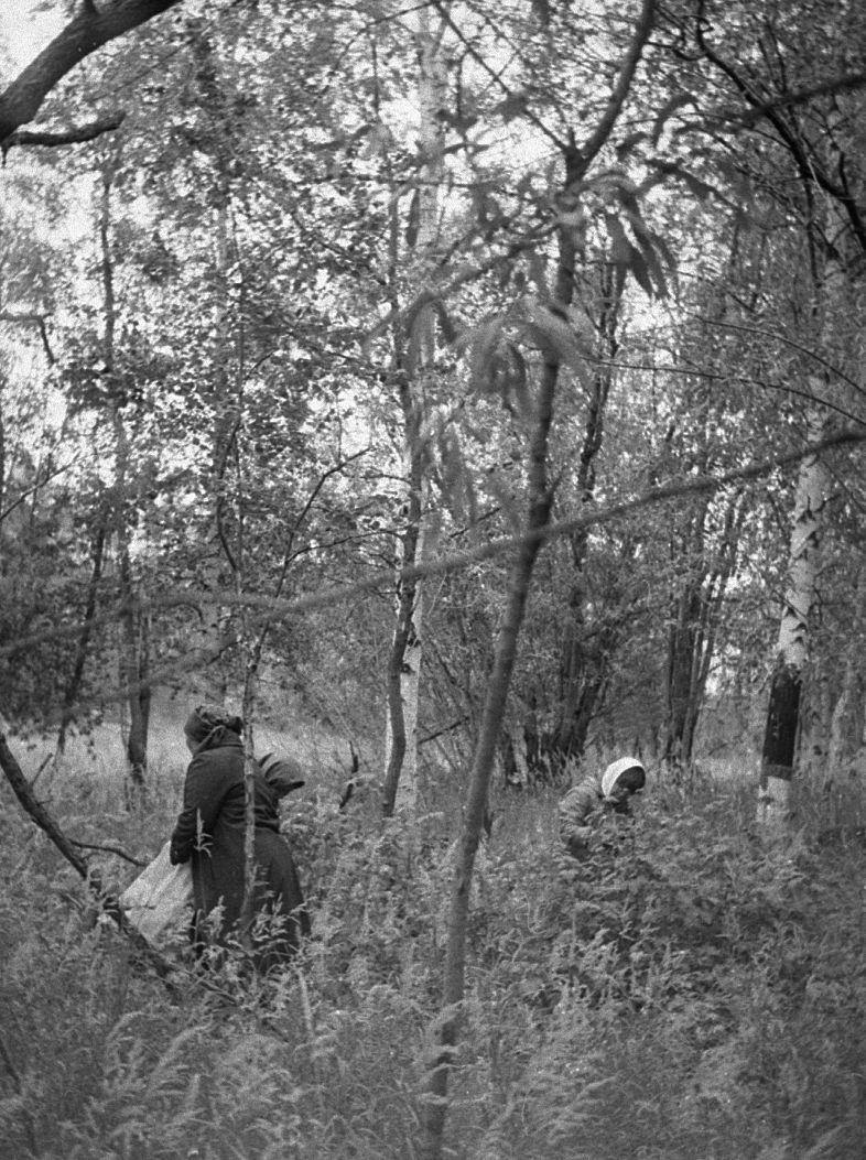 Hantide argipäev - Foto Maie Jõgi