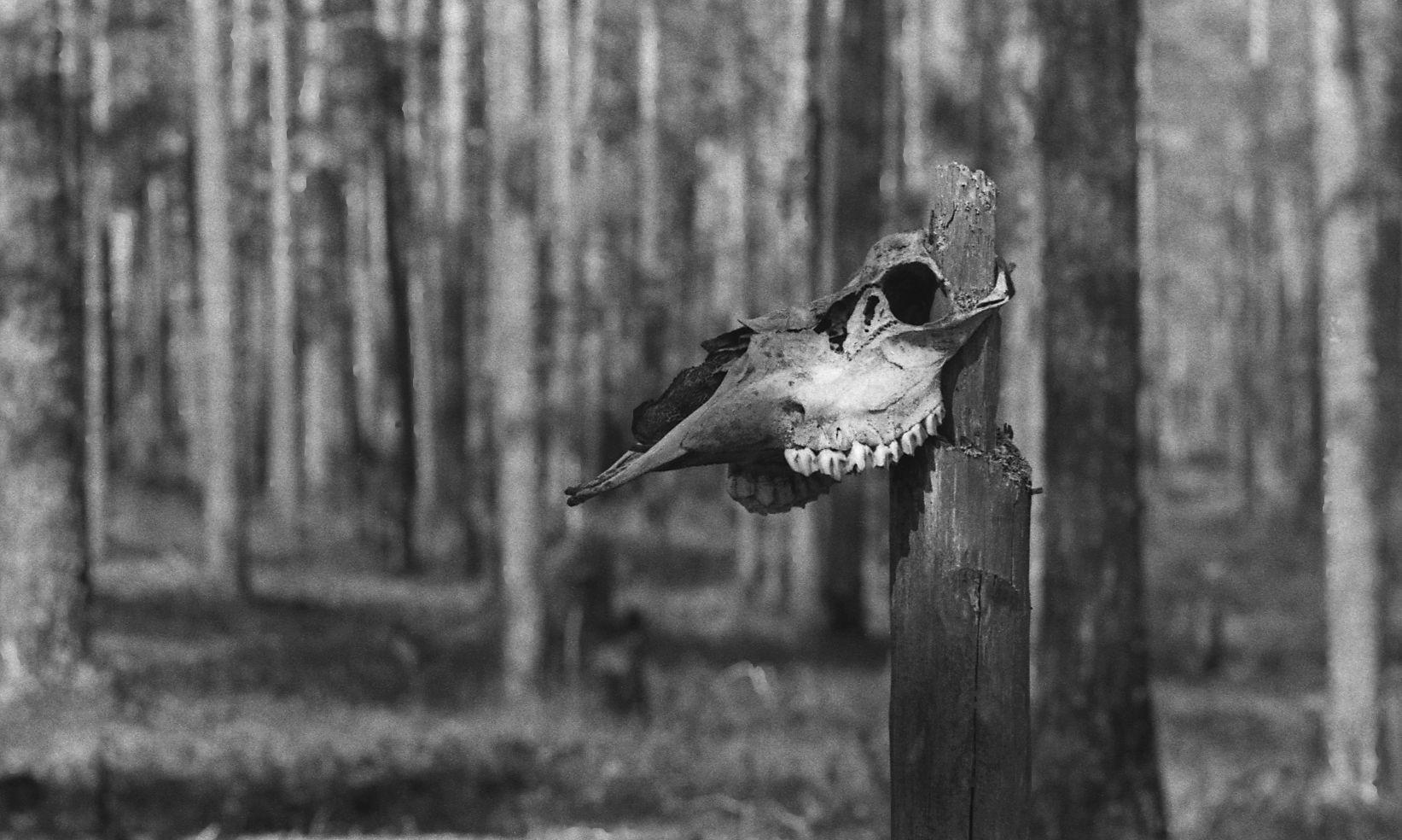Filmivõtete argipäevad (1988) - Foto Enn Säde