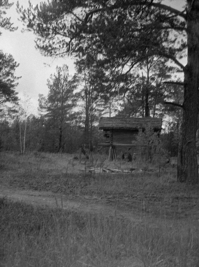 Võttepaigal - Foto Maie Jõgi