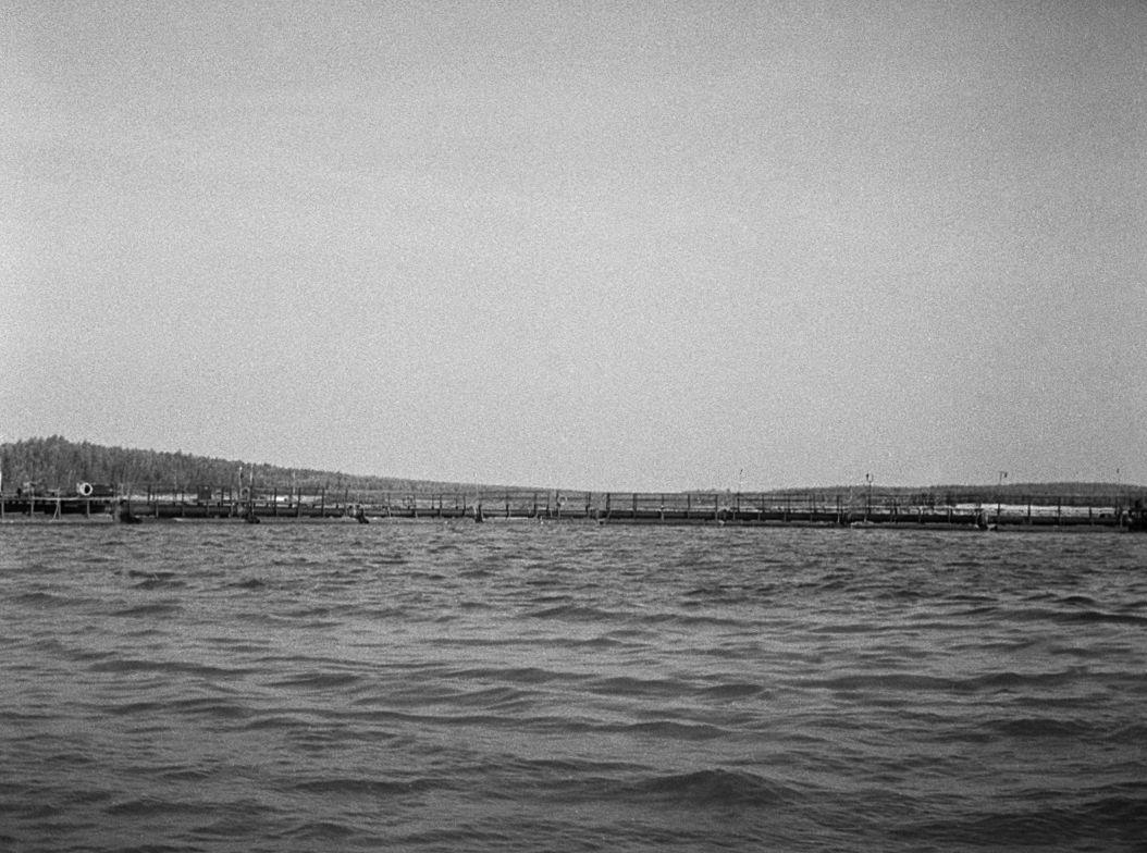 Filmigrupiga laeval - Foto Maie Jõgi