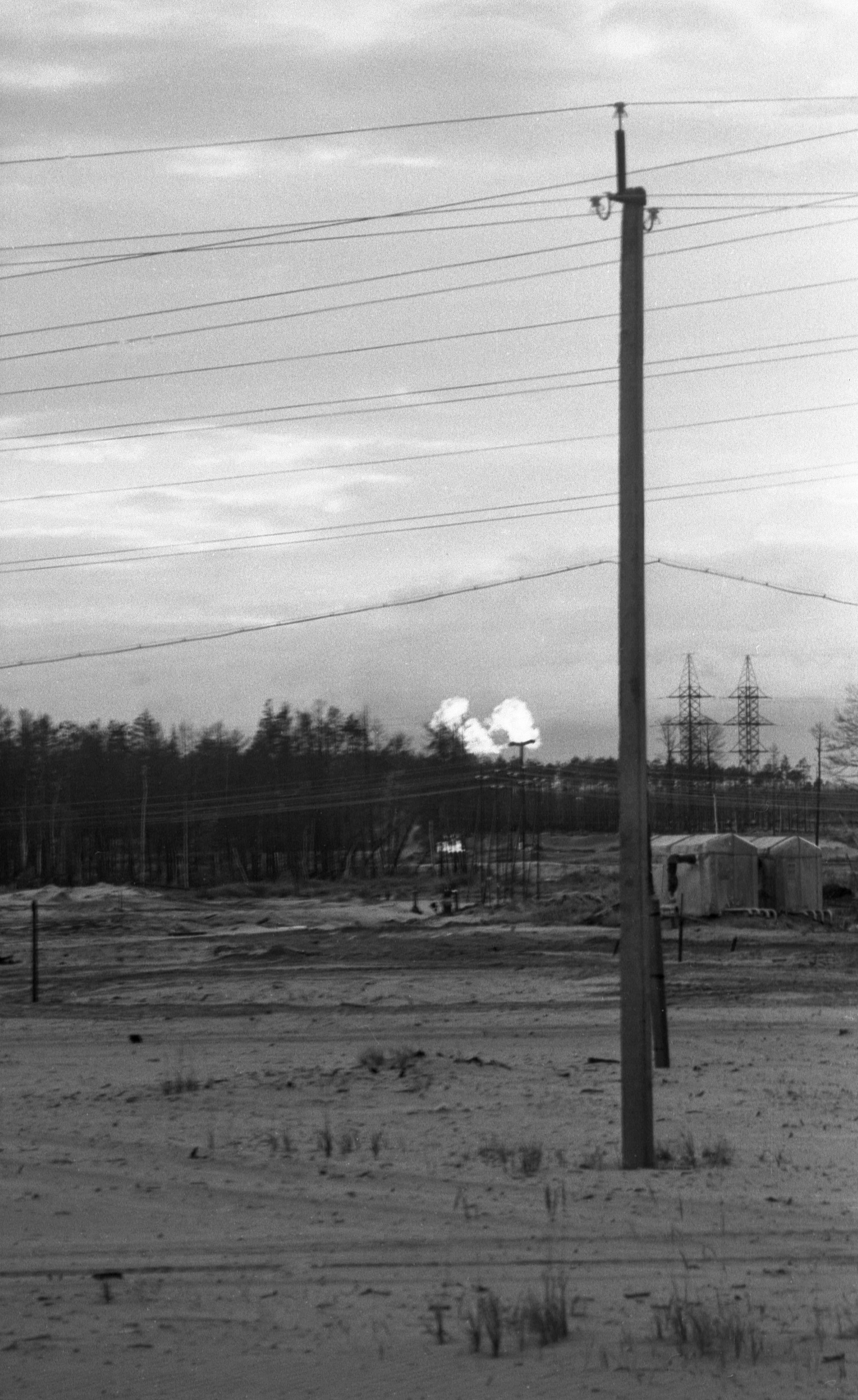 Filmigrupp teel (1988)