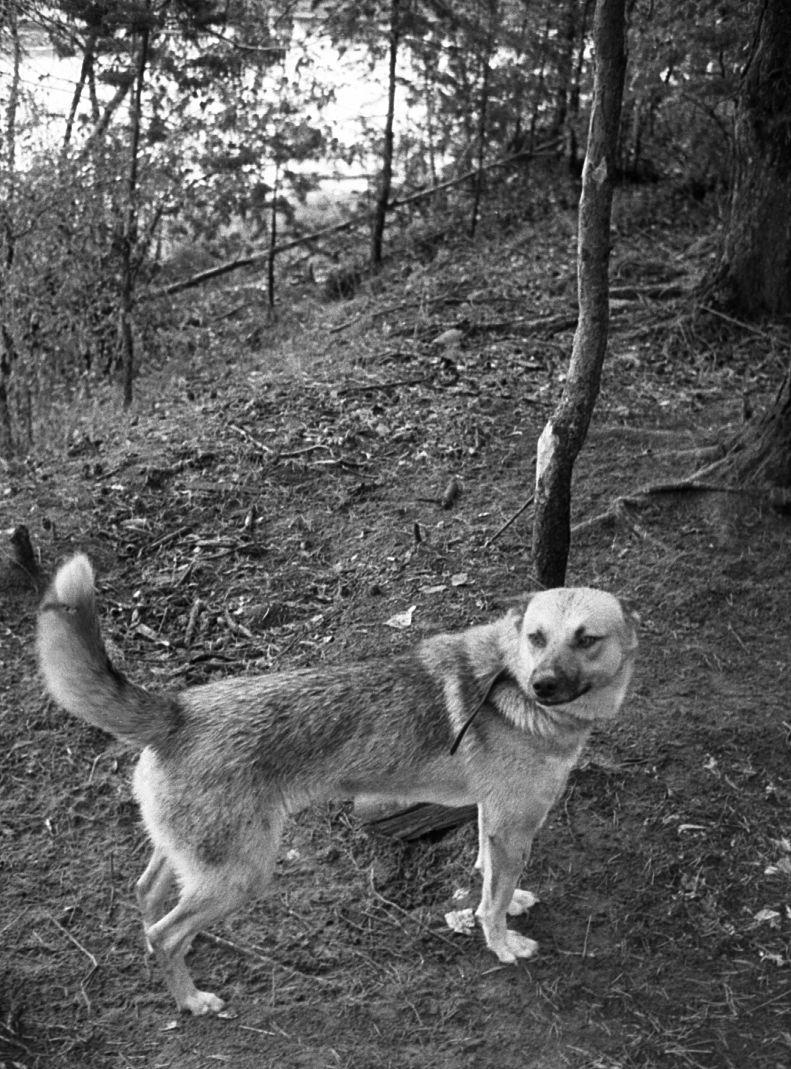 Hantide argipäev - Foto Maie Jõgi