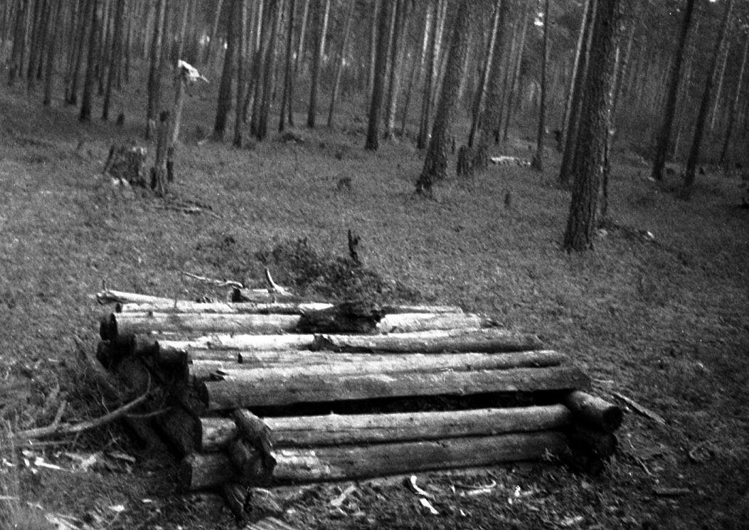 Võttepaigal - Foto Maie Jõgi