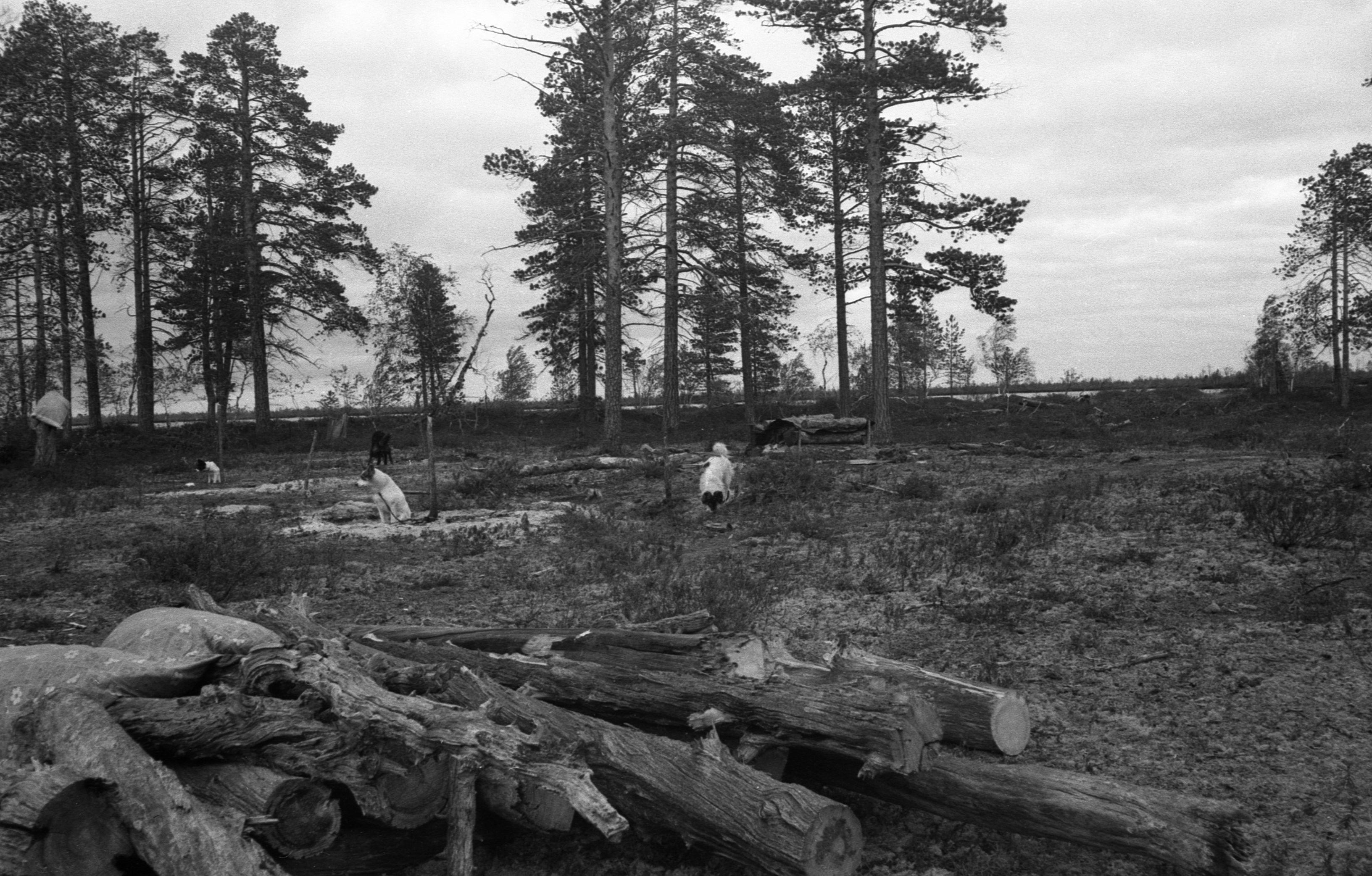 Helikopterisõit Sopotšiniga (1988)