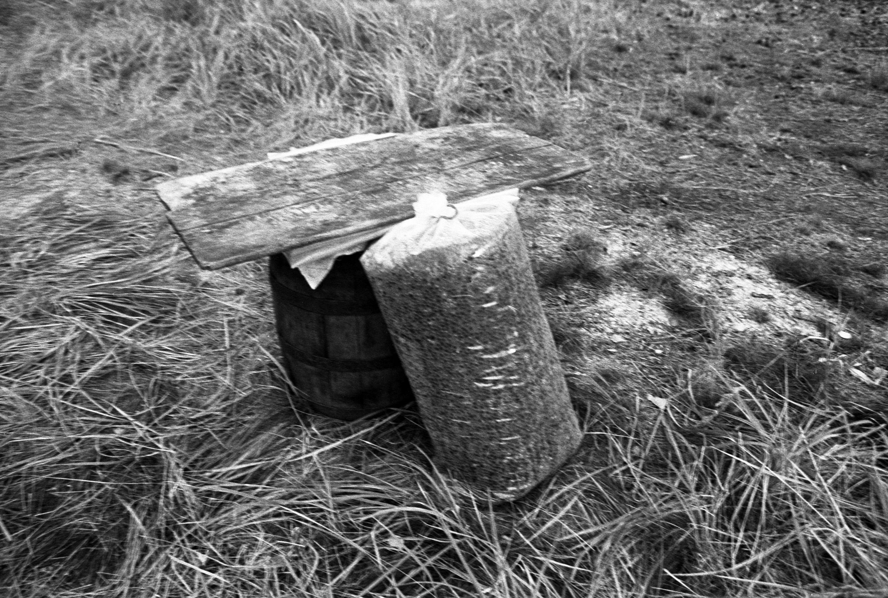 Suveleeris (1985) 