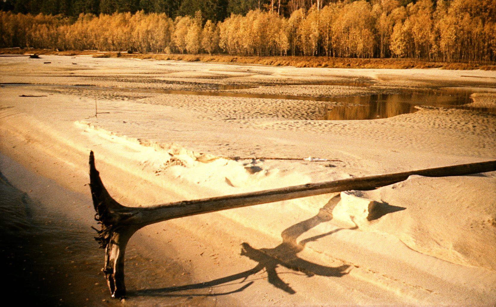 Filmigrupiga laeval - Foto Ago Ruus