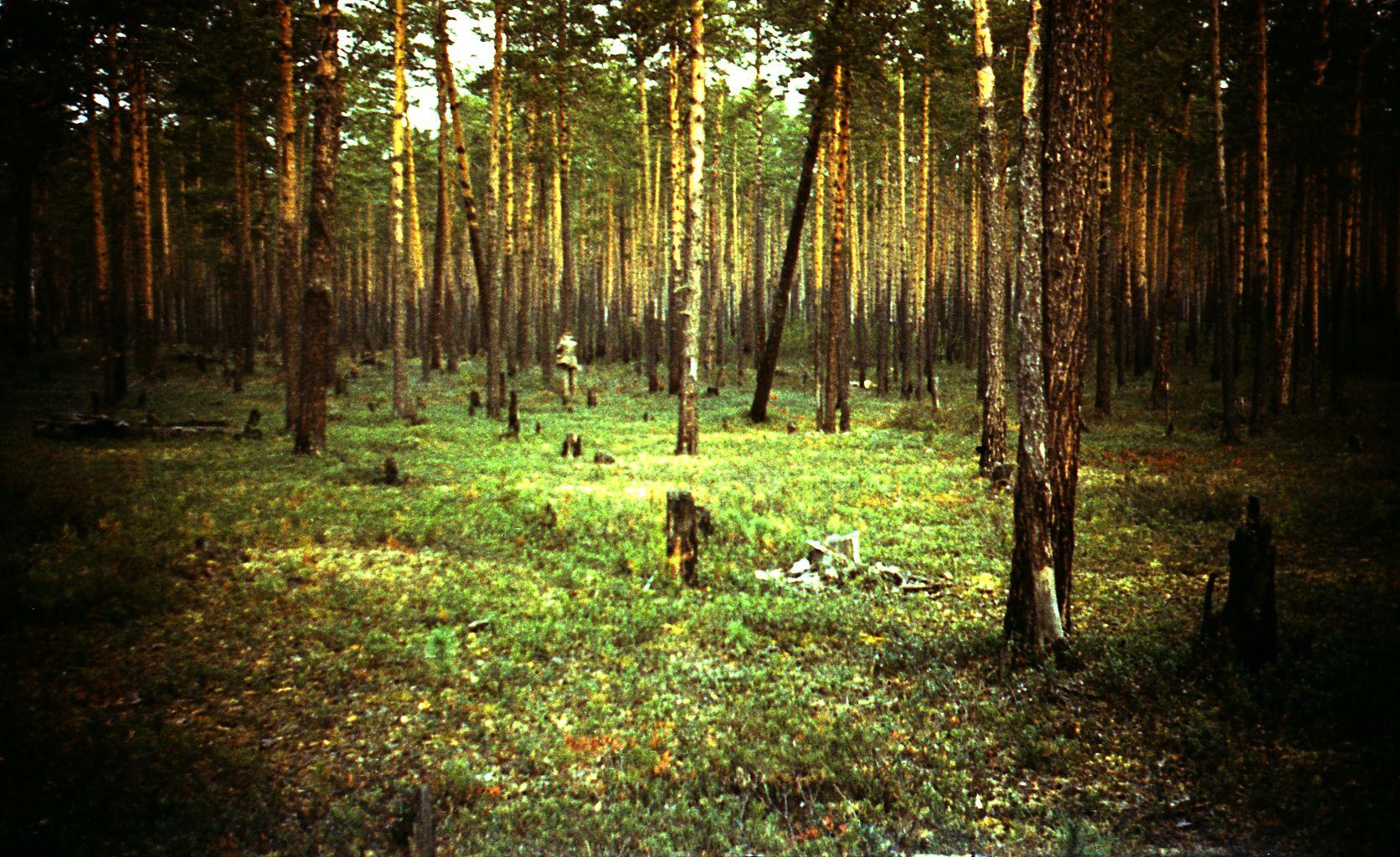 Filmivõtted Tõltšinite suveleeris (1985) - Foto Ago Ruus