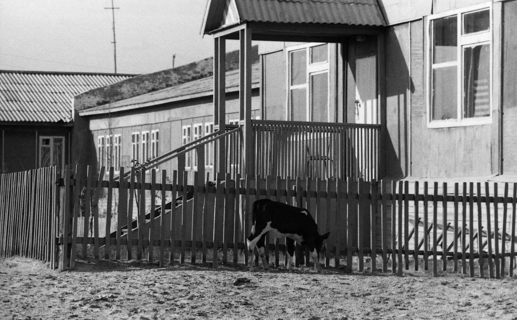 Agani külas (1988) - Foto Enn Säde