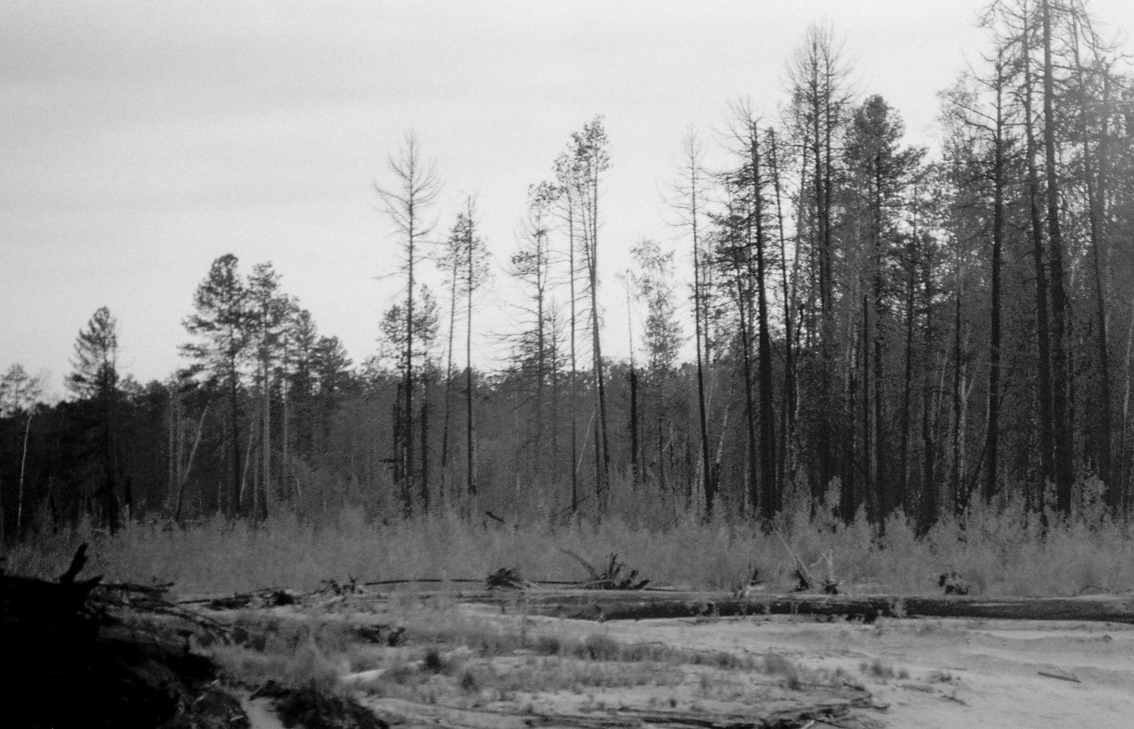 Laevasõi vahepeatusega (1988) - Foto Enn Säde
