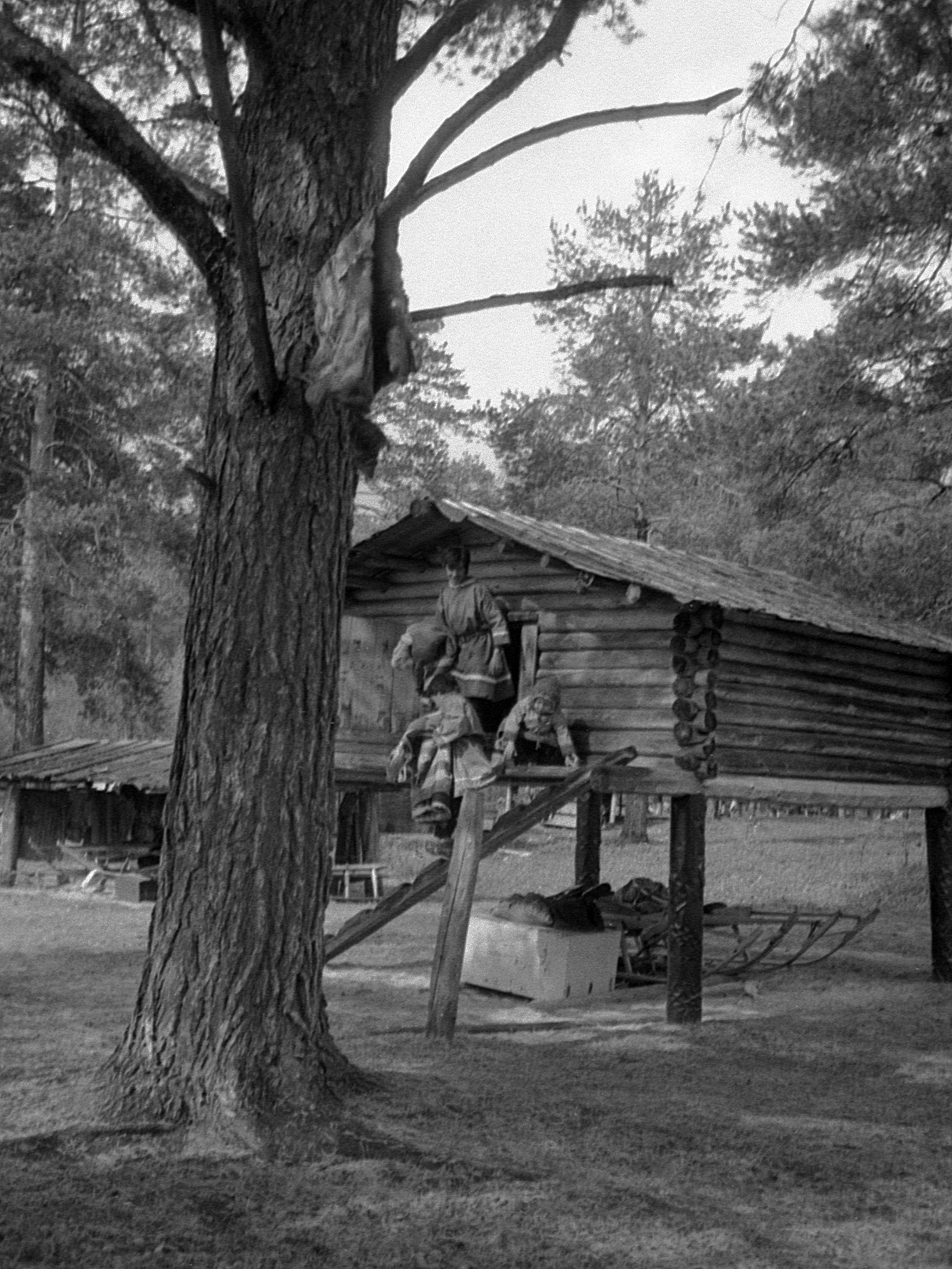 Filmivõtted sammasaida juures - Foto Maie Jõgi