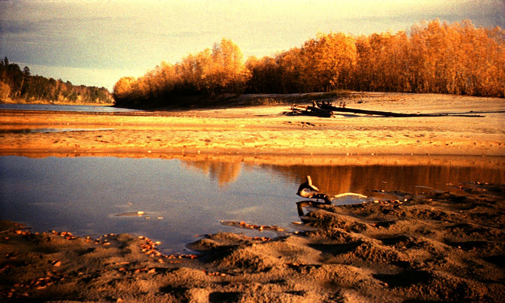 Filmigrupiga laeval - Foto Ago Ruus