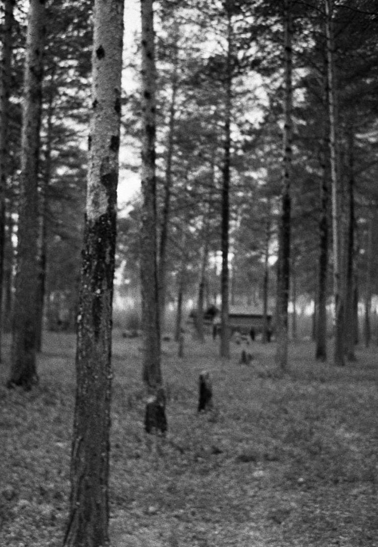 Võttepaigal - Foto Maie Jõgi