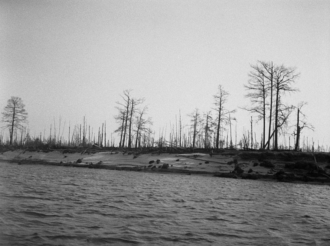 Filmigrupiga laeval - Foto Maie Jõgi