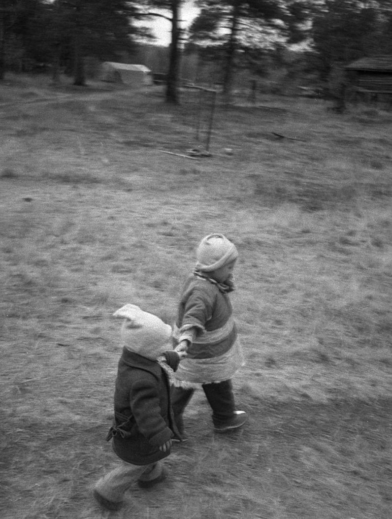 Hantide argipäev - Foto Maie Jõgi
