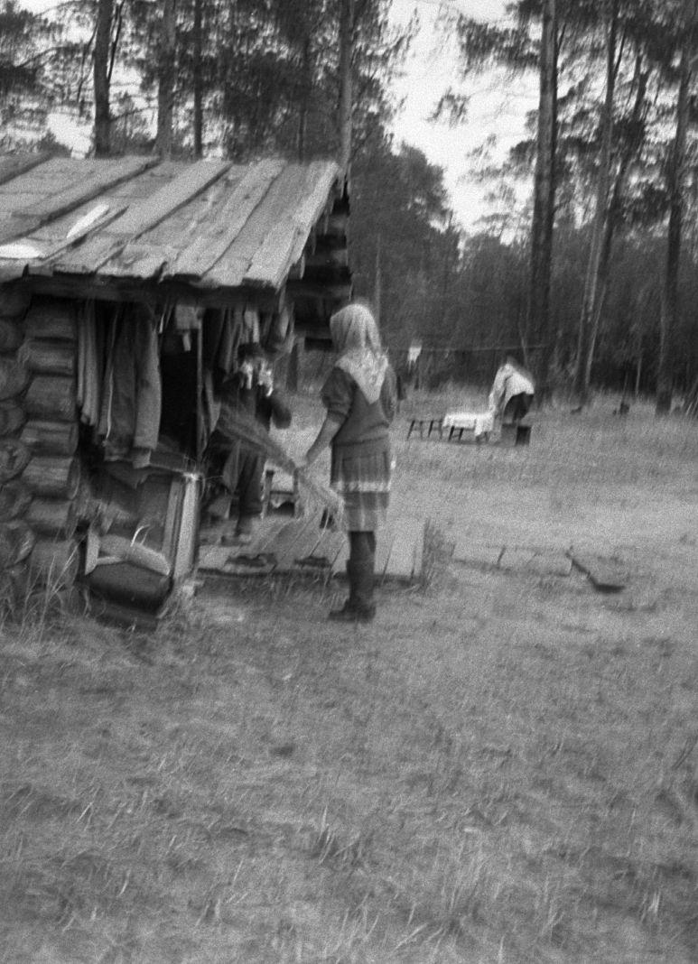 Hantide argipäev - Foto Maie Jõgi