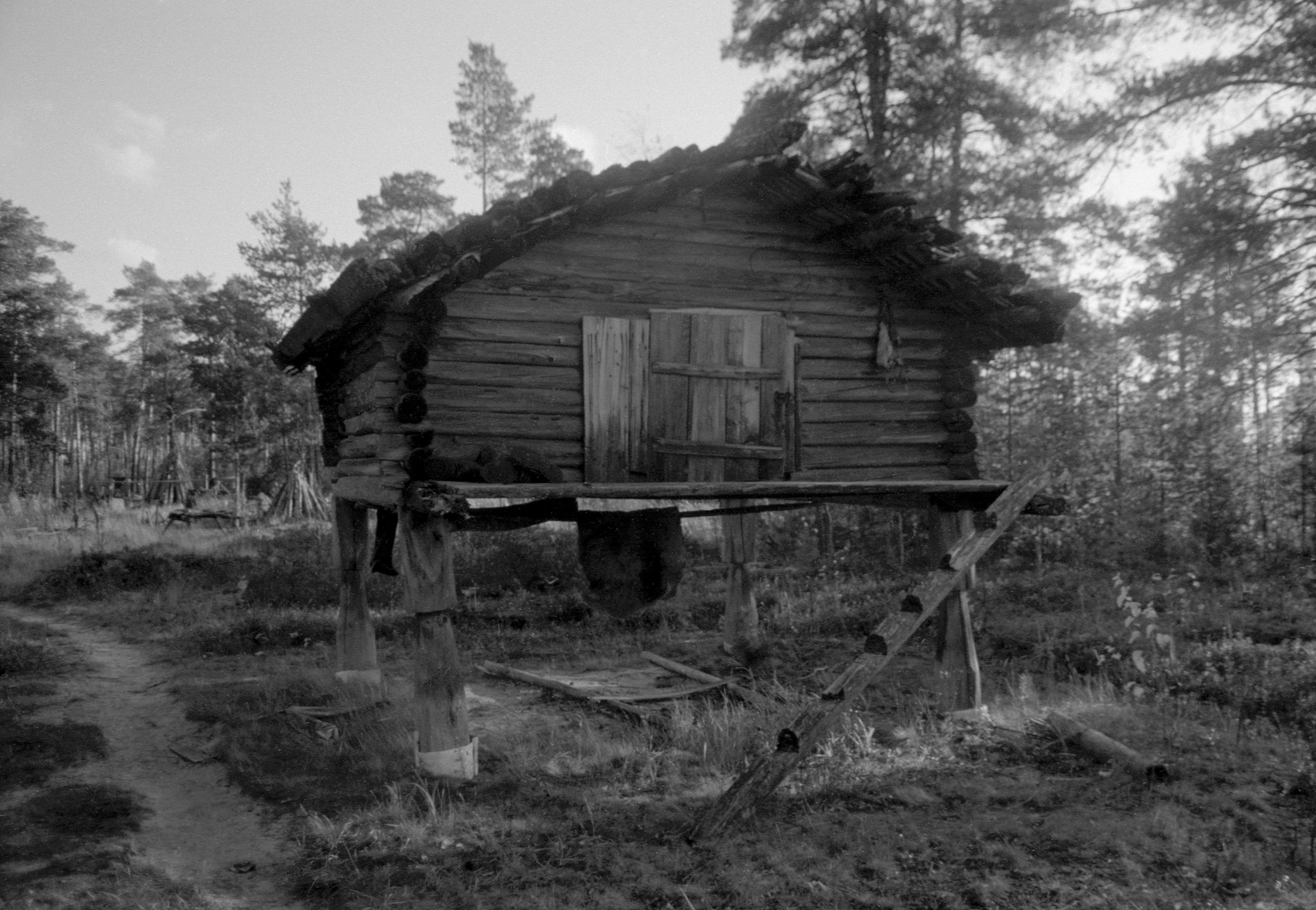 Suveleeris (1985) 