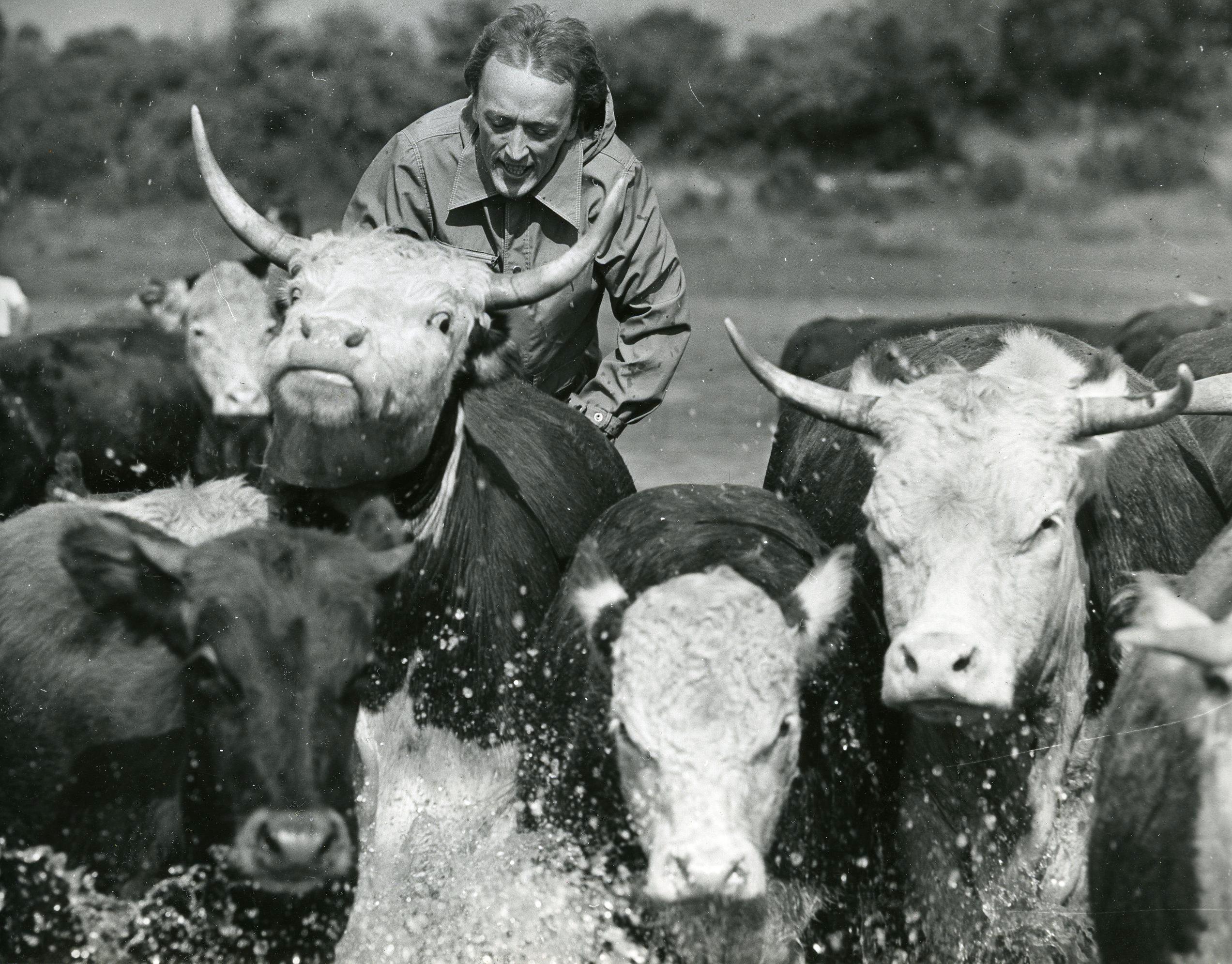 Mängufilm „Corrida“ (1982) - Tarmo osas Sulev Luik - Foto Villu Reimann