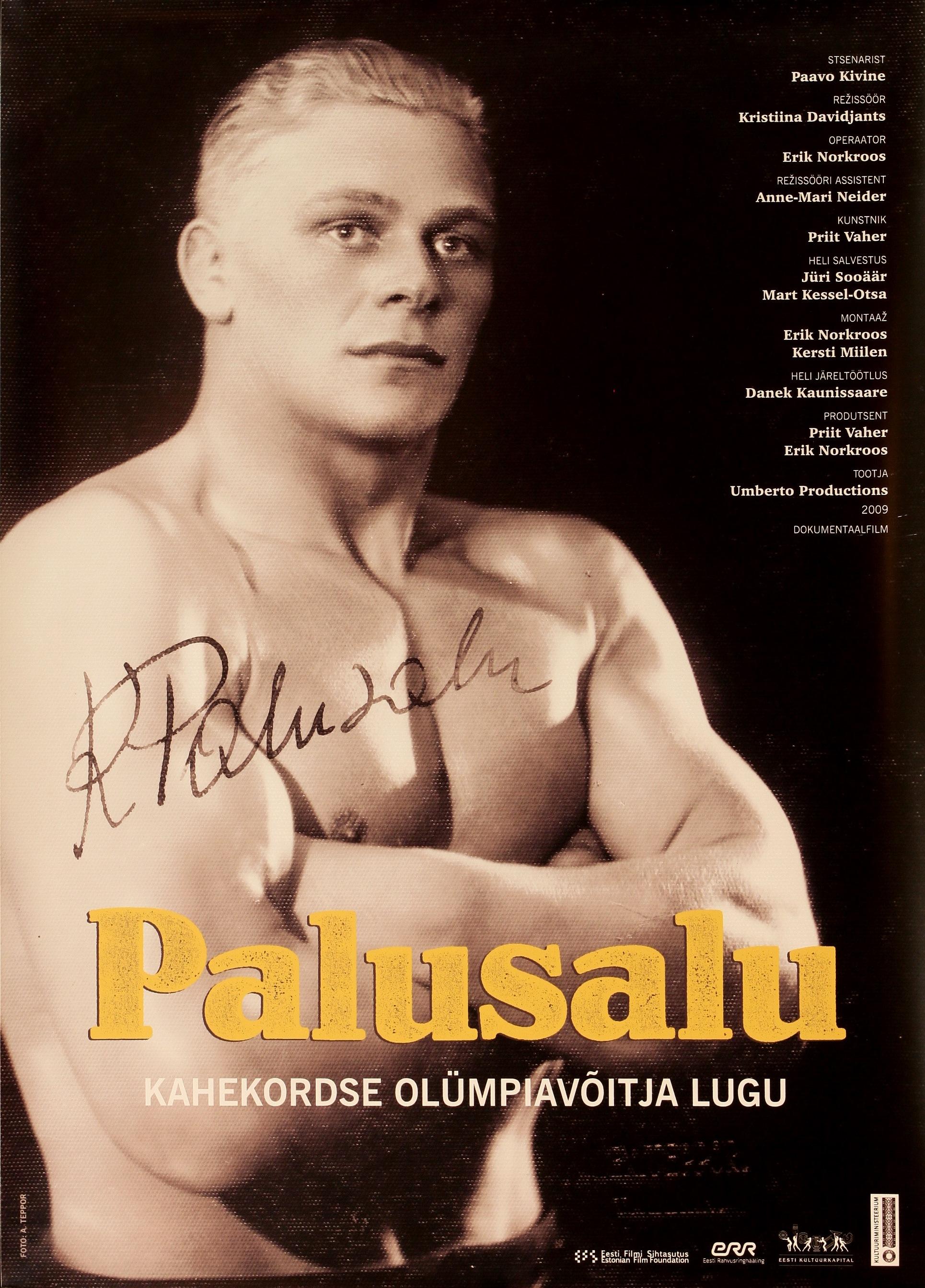 Palusalu (2009) - Kunstnik Indrek Kõster - Eesti Filmi Sihtasutuse kogu