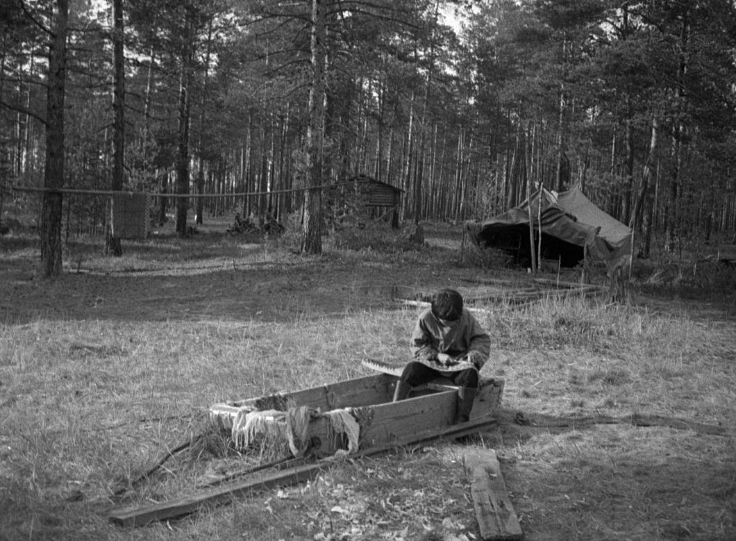 Hantide argipäev - Foto Maie Jõgi