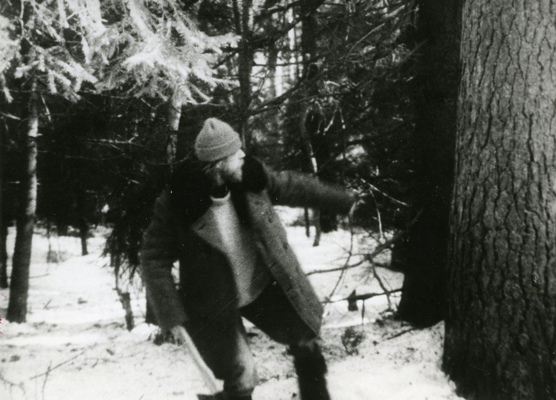 Foto Tõnu Talivee - Nukufilmi kogu