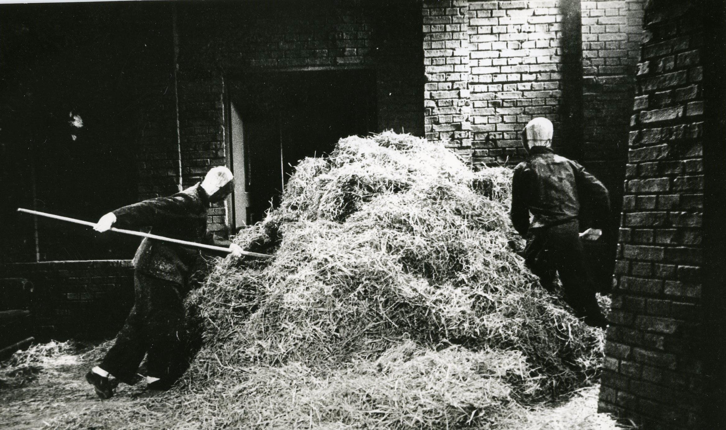 Foto Tõnu Talivee - Nukufilmi kogu