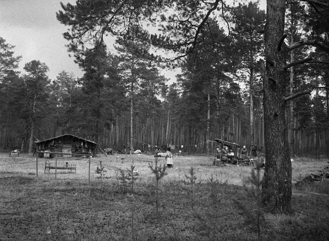 Võttepaigale saabumine ja ettevalmistused filmivõteteks - Foto Maie Jõgi