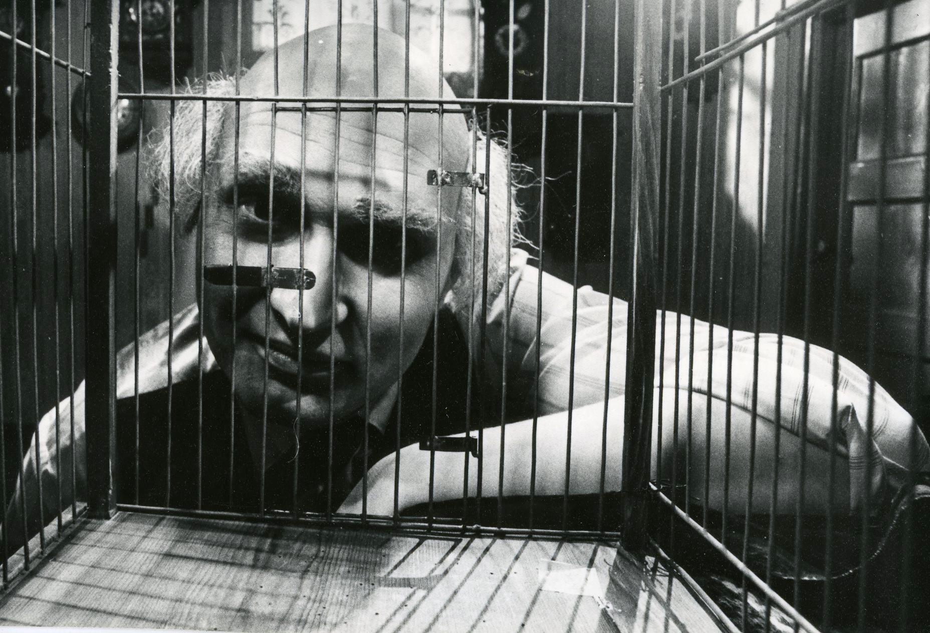 Foto Tõnu Talivee - Nukufilmi kogu