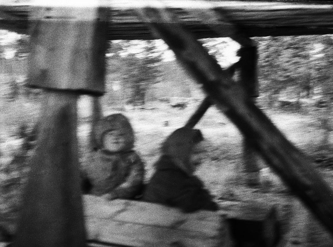 Hantide argipäev - Foto Maie Jõgi
