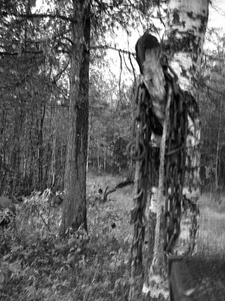 Võttepaigal - Foto Maie Jõgi