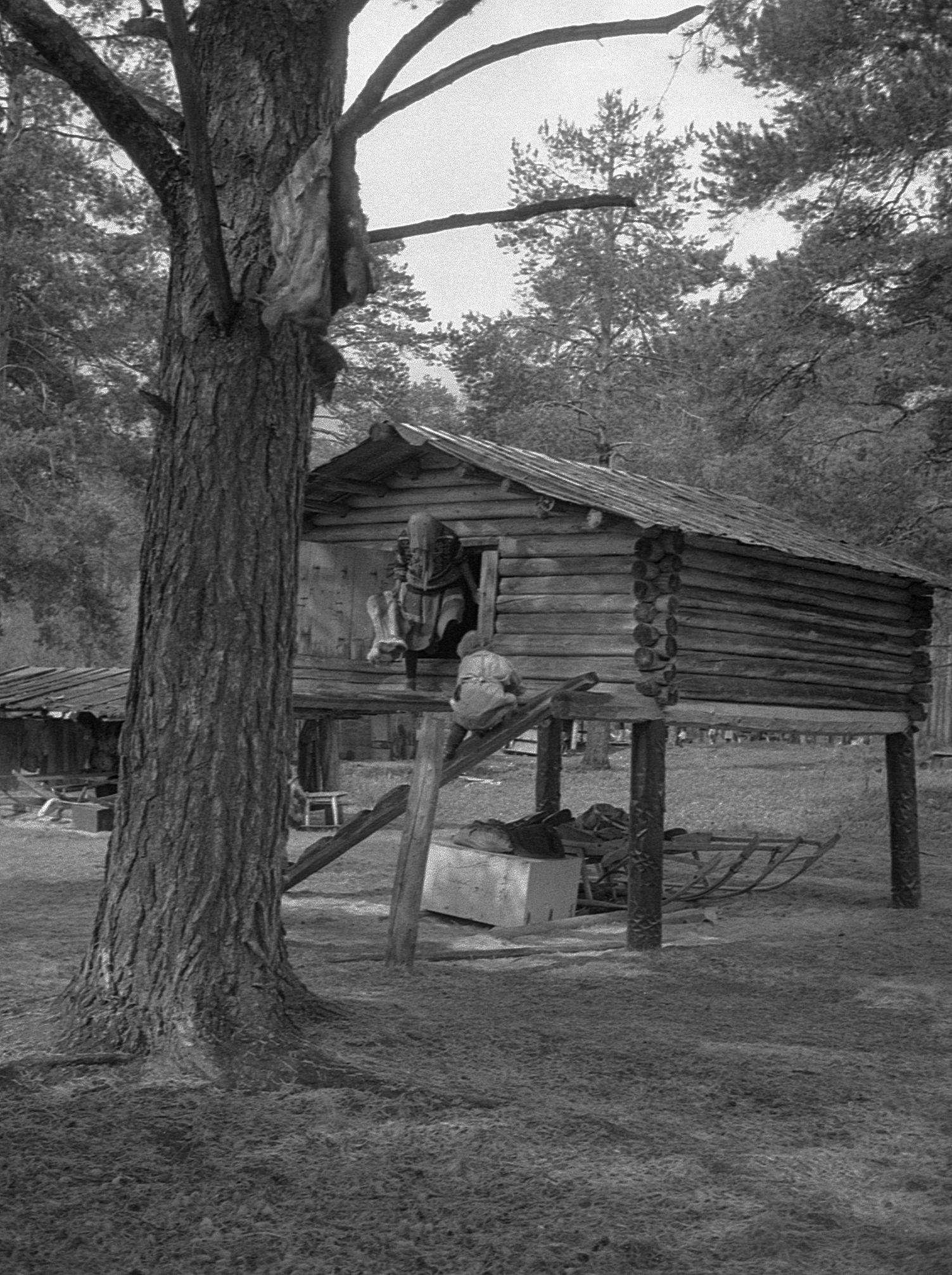 Filmivõtted sammasaida juures - Foto Maie Jõgi
