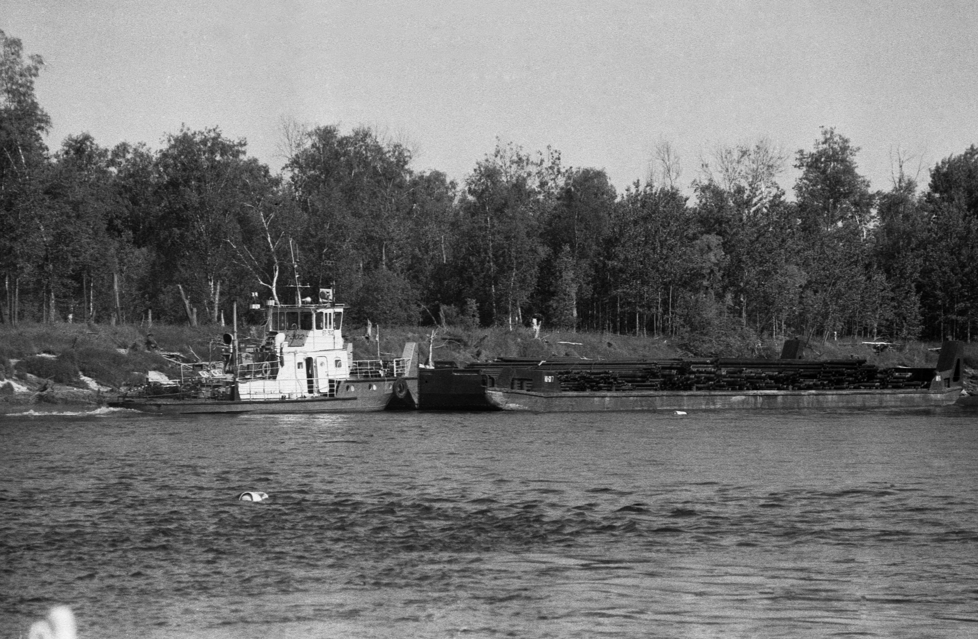 Maastkud (1985)