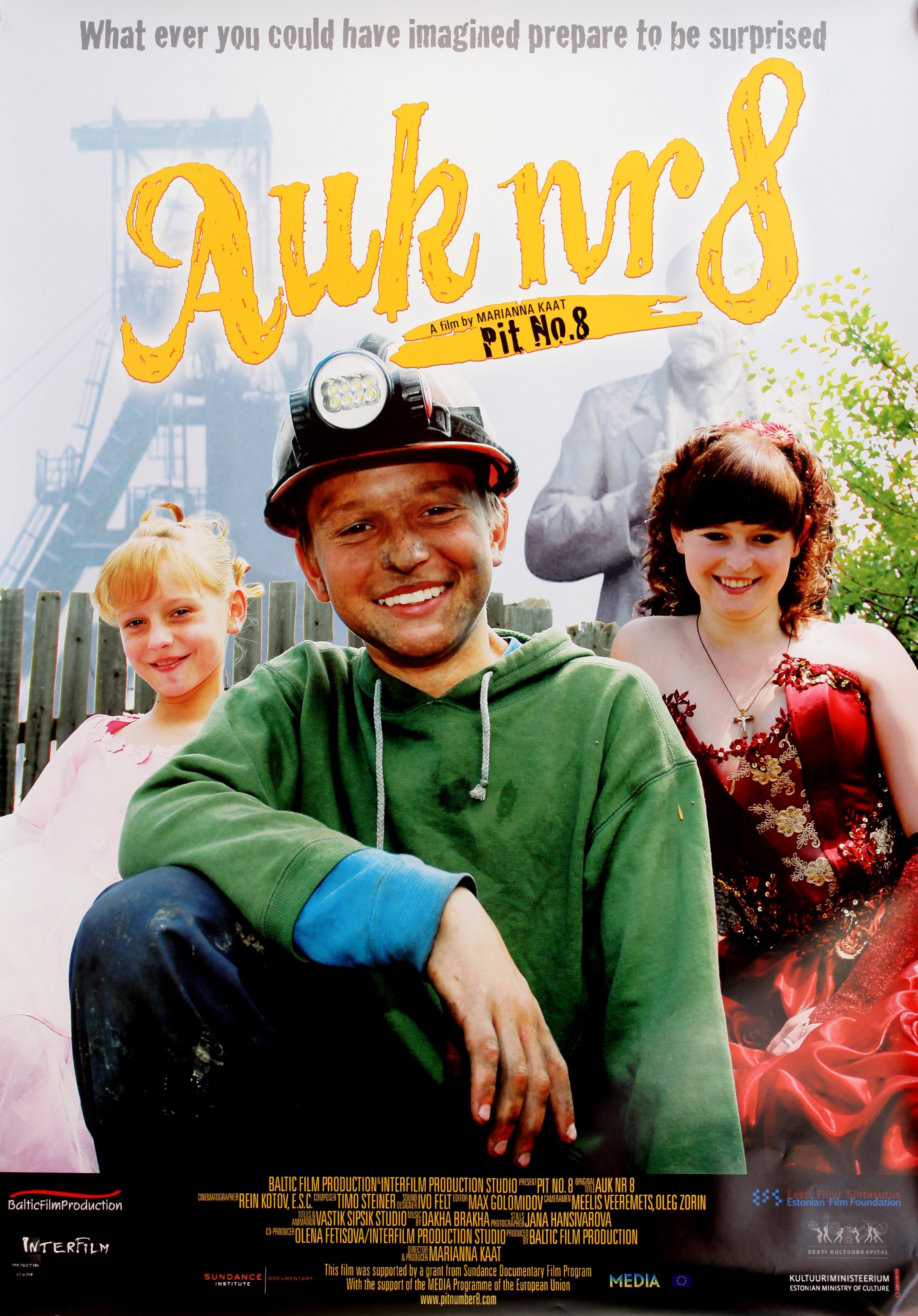 Auk nr 8 (2010) - Kunstnik Sergei Didyk - Eesti Filmi Sihtasutuse kogu